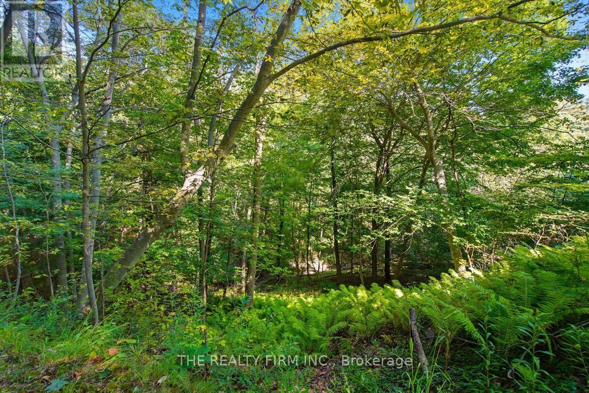 7338 COYNE ROAD - Image 39