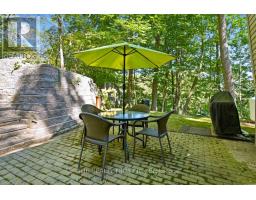 7338 Coyne Road, Dutton/dunwich, ON N0L2M0 Photo 30