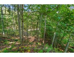 7338 Coyne Road, Dutton/dunwich, ON N0L2M0 Photo 38