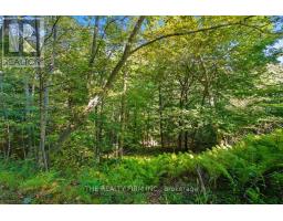 7338 Coyne Road, Dutton/dunwich, ON N0L2M0 Photo 39