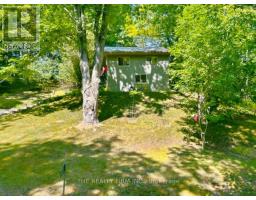 7338 Coyne Road, Dutton/dunwich, ON N0L2M0 Photo 40