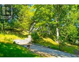 7338 Coyne Road, Dutton/dunwich, ON N0L2M0 Photo 44