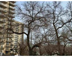 10346a 121 St Nw, Edmonton, AB T5N1P2 Photo 34