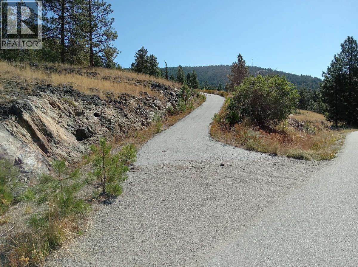 1024 BULLMOOSE Trail Lot# 8, Osoyoos — photo 2
