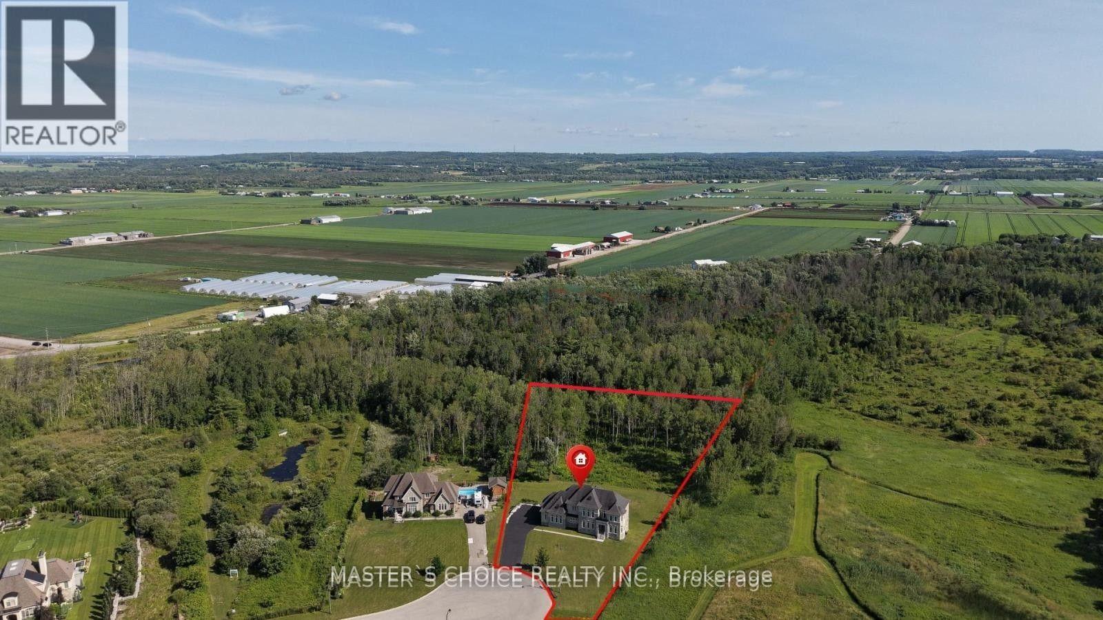 245 PINE HILL ROAD - Image 5