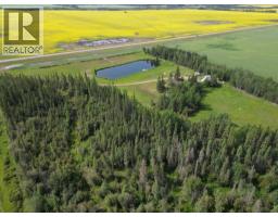 110002 Hwy 58, Rural Mackenzie County, AB T0H1Z0 Photo 15
