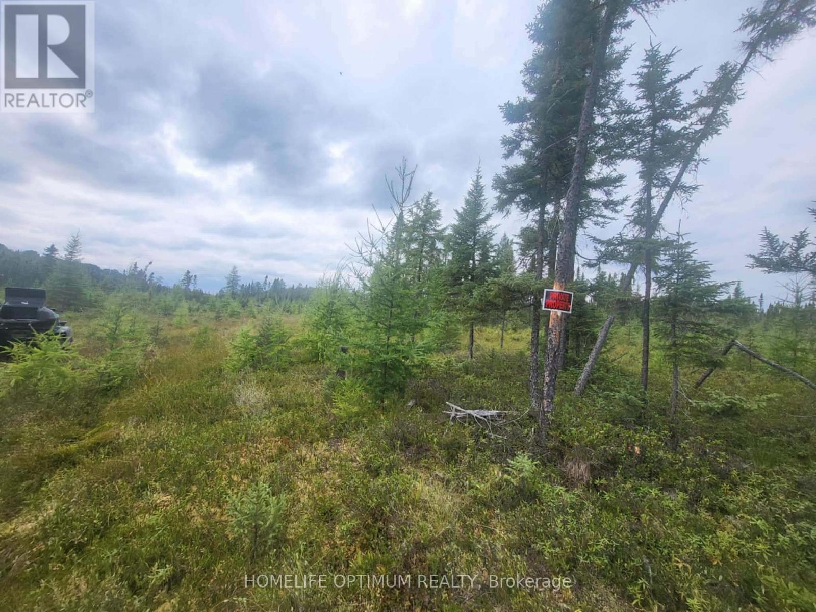 PCL 9194 REVELL TOWNSHIP, Kenora — photo 3