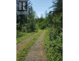 Pcl 9194 Revell Township, Kenora, ON P0V1P0 Photo 6