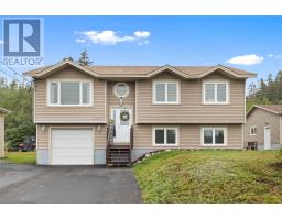 917 Pouch Cove Line thumbnail 29
