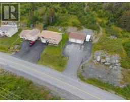 917 Pouch Cove Line thumbnail 40