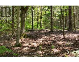 50 Sunrise Drive, Kearney, ON P0A1M0 Photo 6