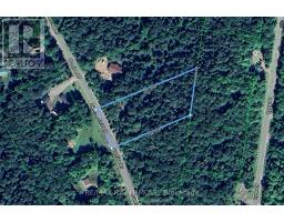 50 Sunrise Drive, Kearney, ON P0A1M0 Photo 9