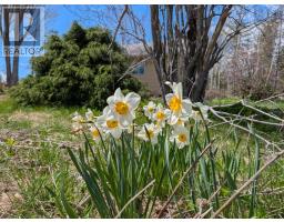 4299 Grand Mira North Road, Huntington, NS B1K1V7 Photo 12