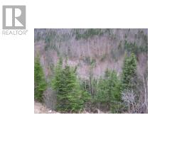 24 Woodmans Road thumbnail 3