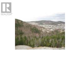 24 Woodmans Road thumbnail 6
