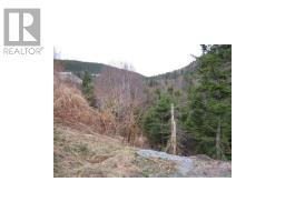24 Woodmans Road thumbnail 8
