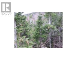 24 Woodmans Road thumbnail 9