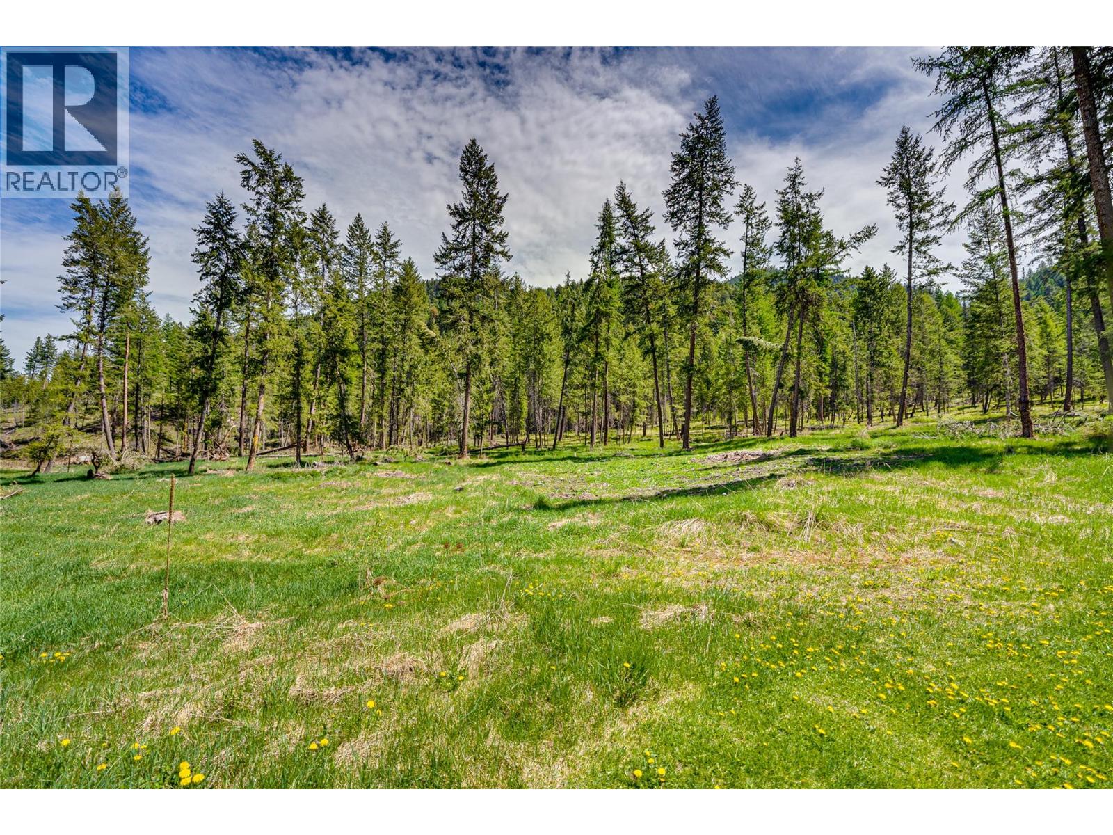 3315 Fiva Creek Road S - 69