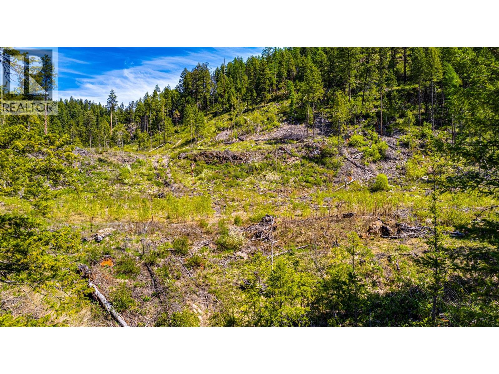 3315 Fiva Creek Road S - 88