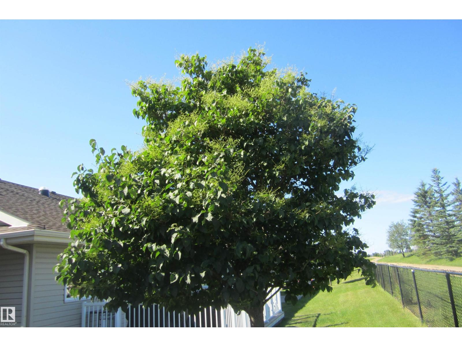 #97 8602 Southfort DR - Image 4