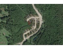 47017 Snowmist Place, Mission, BC V0M1A1 Photo 6