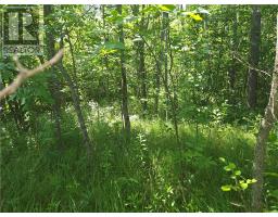 N/a 4th Line, Gore Bay, ON P0P1H0 Photo 10
