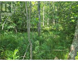 N/a 4th Line, Gore Bay, ON P0P1H0 Photo 9