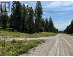 Lot 4 - Kindersley Road, Edgewater, BC V0A1E0 Photo 15