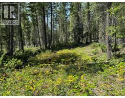 Lot 4 - Kindersley Road, Edgewater, BC V0A1E0 Photo 19