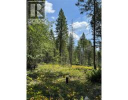 Lot 4 - Kindersley Road, Edgewater, BC V0A1E0 Photo 21