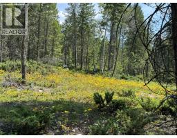 Lot 4 - Kindersley Road, Edgewater, BC V0A1E0 Photo 22