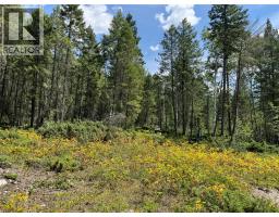 Lot 4 - Kindersley Road, Edgewater, BC V0A1E0 Photo 23