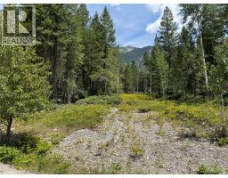 Lot 4 - Kindersley Road, Edgewater, BC V0A1E0 Photo 17