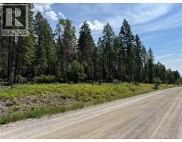 Lot 4 - Kindersley Road, Edgewater, BC V0A1E0 Photo 16