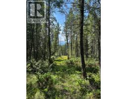 Lot 4 - Kindersley Road, Edgewater, BC V0A1E0 Photo 25