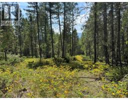 Lot 4 - Kindersley Road, Edgewater, BC V0A1E0 Photo 28