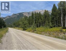 Lot 4 - Kindersley Road, Edgewater, BC V0A1E0 Photo 37