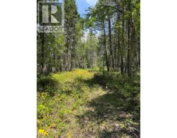 Lot 4 - Kindersley Road, Edgewater, BC V0A1E0 Photo 26
