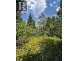 Lot 4 - Kindersley Road, Edgewater, BC V0A1E0 Photo 31