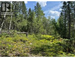 Lot 4 - Kindersley Road, Edgewater, BC V0A1E0 Photo 29