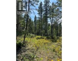 Lot 4 - Kindersley Road, Edgewater, BC V0A1E0 Photo 27