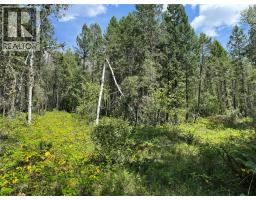 Lot 4 - Kindersley Road, Edgewater, BC V0A1E0 Photo 30