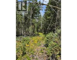 Lot 4 - Kindersley Road, Edgewater, BC V0A1E0 Photo 24