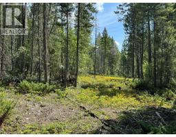 Lot 4 - Kindersley Road, Edgewater, BC V0A1E0 Photo 20
