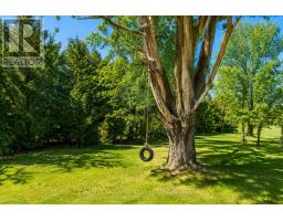 3210 Ritchance Road, Champlain, ON K0B1A0 Photo 39