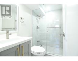 Basement - 117 Pindar Crescent, Toronto, ON M2J3L3 Photo 22