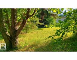 5102 51 Av, Willingdon, AB T0B4R0 Photo 11