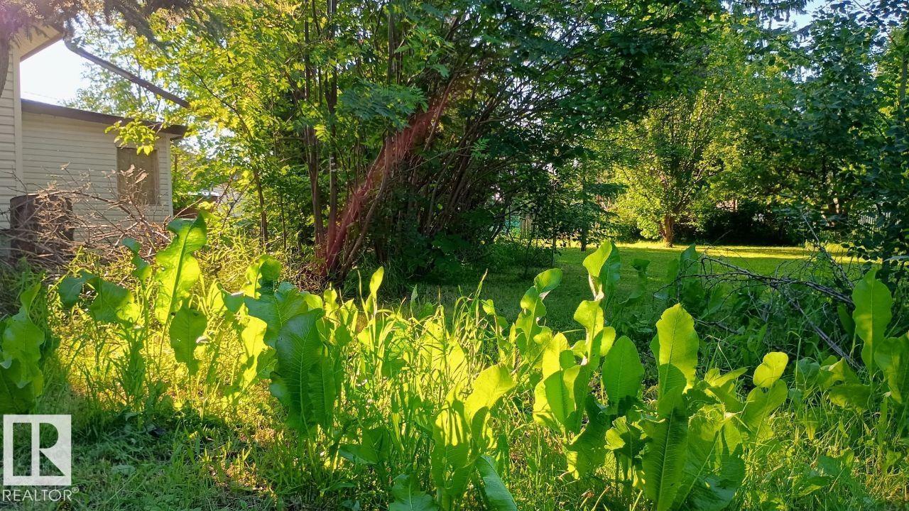 5102 51 AV - Image 8