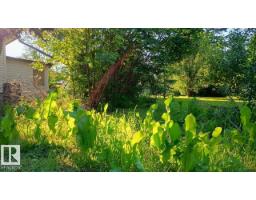 5102 51 Av, Willingdon, AB T0B4R0 Photo 8