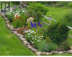 389 Main Road thumbnail 37